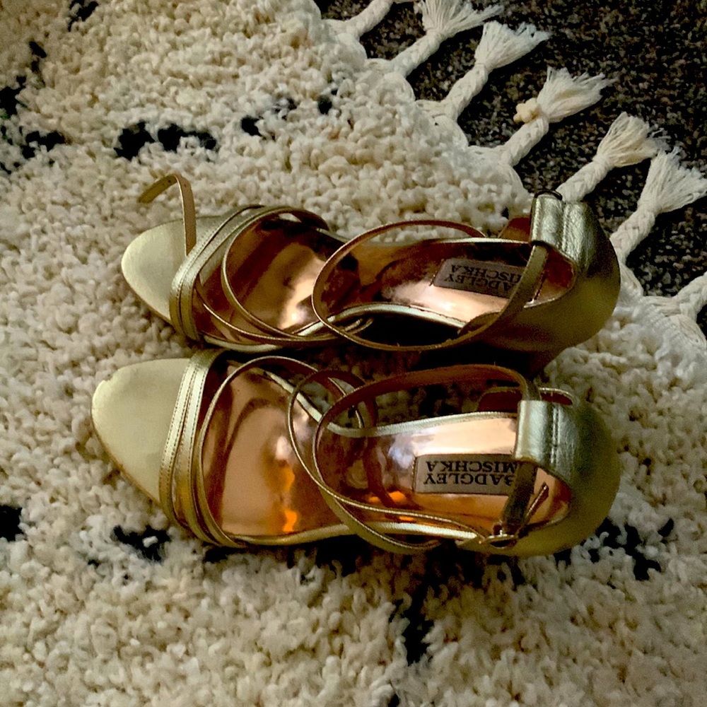 Bradley Mischka shoes used only 1 time for a wedding